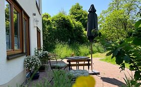 Ferienwohnung im Moselland